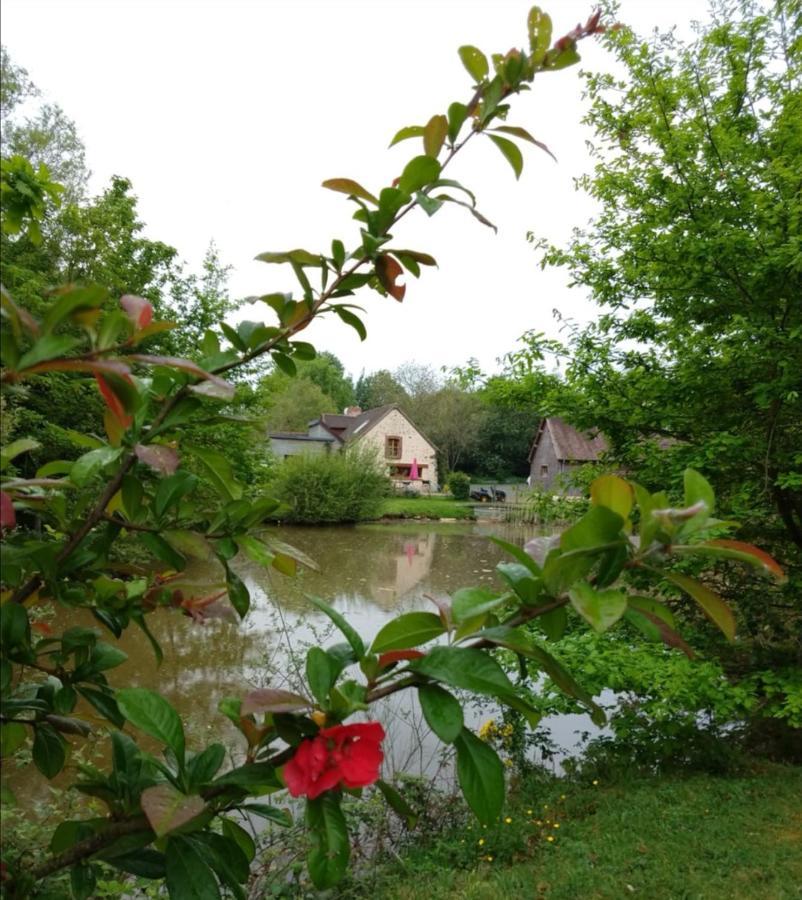 24H Le Mans - Les Haies Gite, Near Le Mans Circuit Villa Coulans-sur-Gée Eksteriør billede